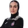 Mina-Nafeei